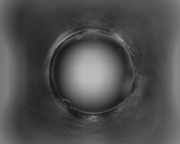 X0000088460151200705221349
