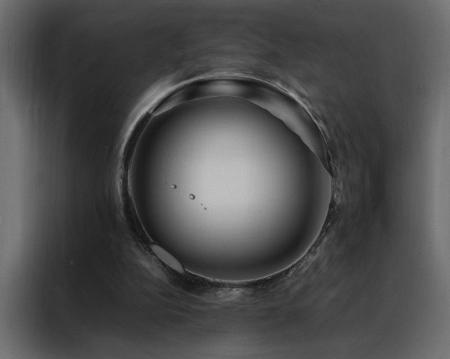 X0000088460152200705221349
