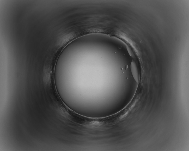 X0000088460153200705221349