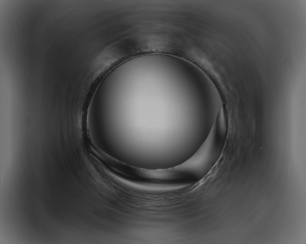 X0000088460154200705221349