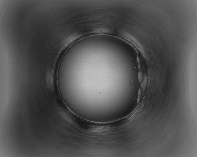 X0000088460155200705221349