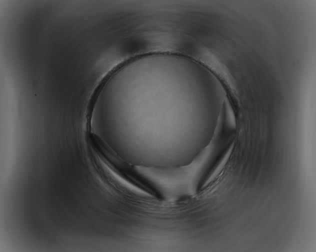 X0000088460156200705221350