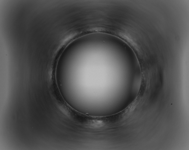 X0000088460159200705221350