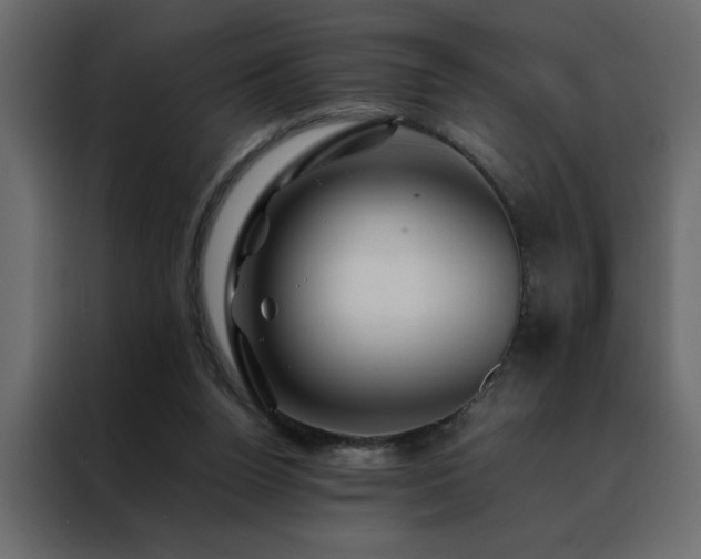 X0000088460160200705221350