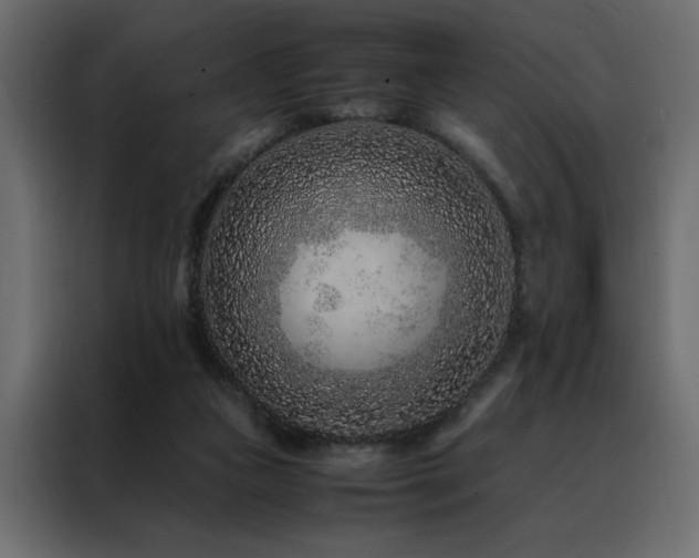 X0000088460161200705221350