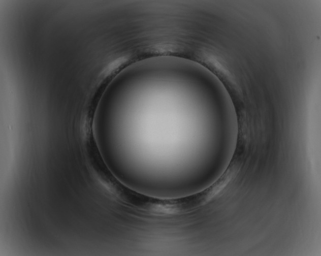 X0000088460164200705221350