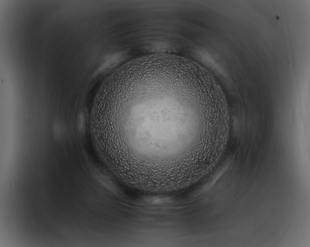 X0000088460165200705221350