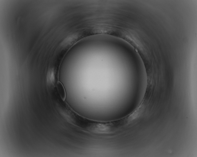 X0000088460166200705221350