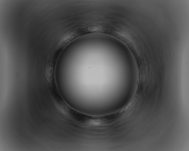 X0000088460171200705221350