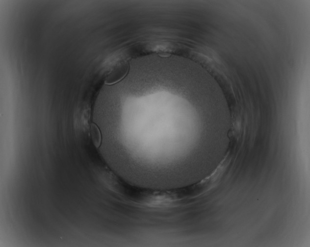 X0000088460175200705221350