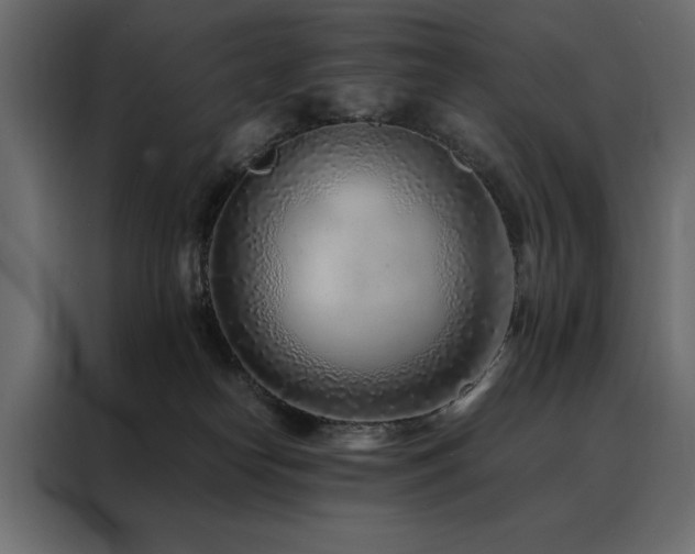 X0000088460182200705221350