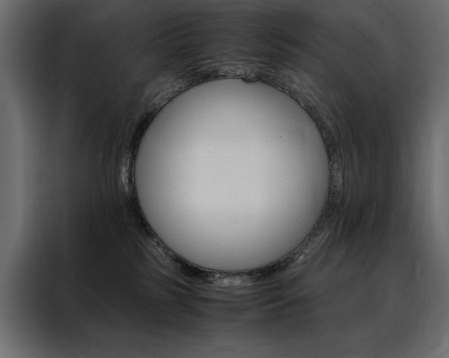 X0000088460185200705221350