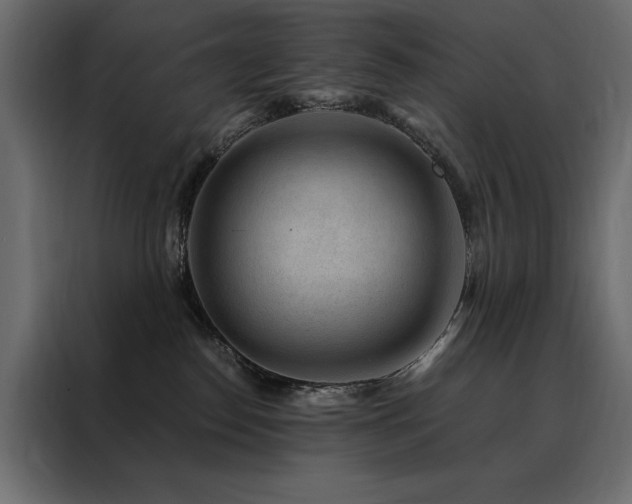 X0000088460186200705221350