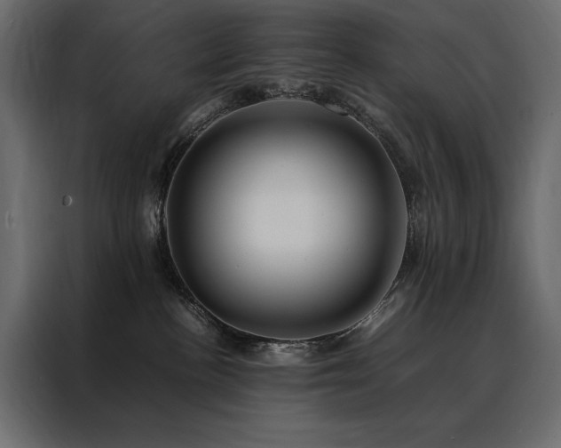 X0000088460188200705221350