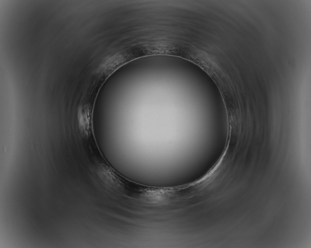 X0000088460190200705221350