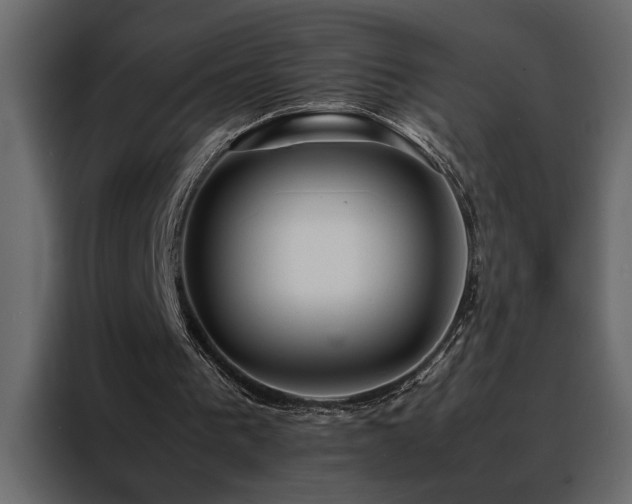 X0000088460193200705221349