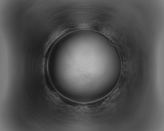 X0000088460194200705221349