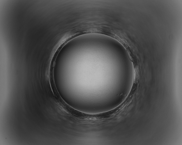 X0000088460195200705221349