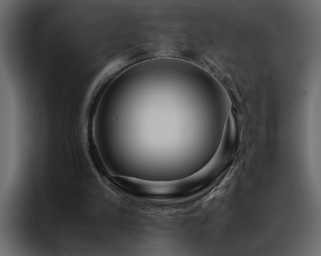 X0000088460197200705221349
