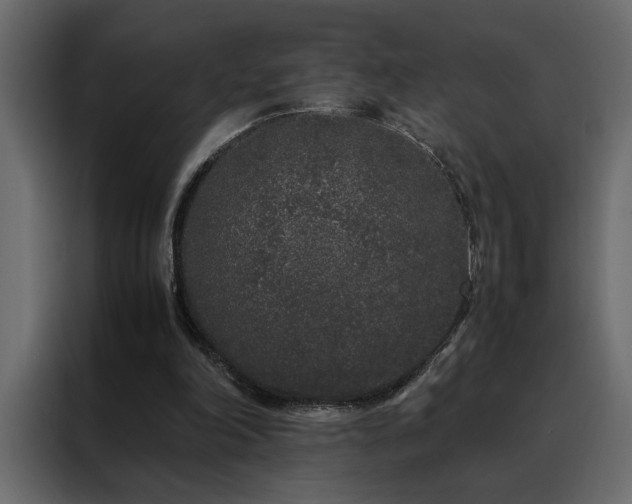 X0000088460198200705221349