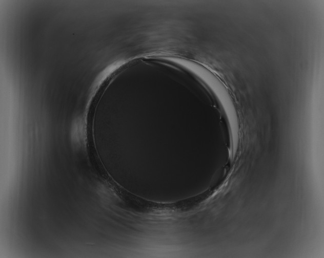 X0000088460200200705221349