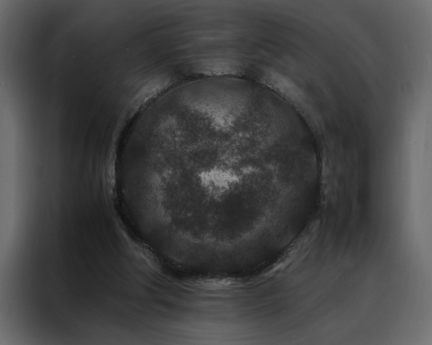 X0000088460202200705221349