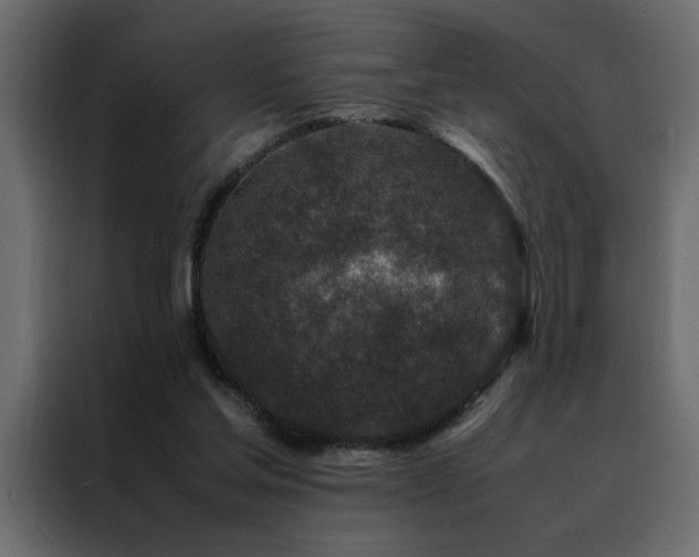 X0000088460205200705221349