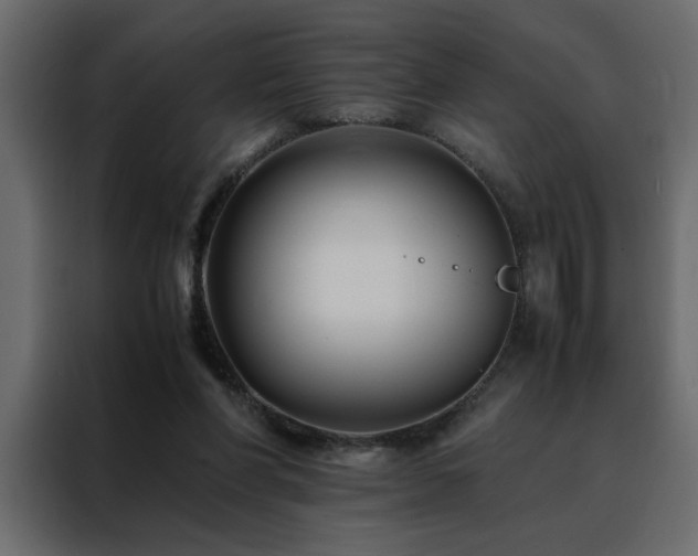 X0000088460206200705221349