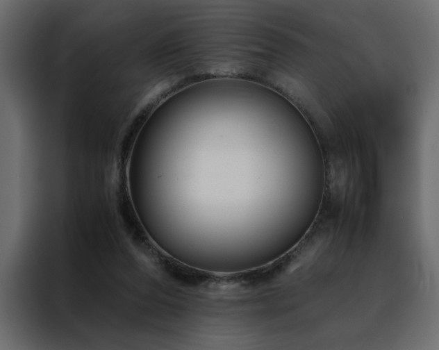 X0000088460208200705221349