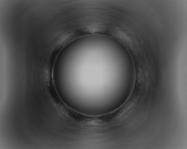 X0000088460210200705221349