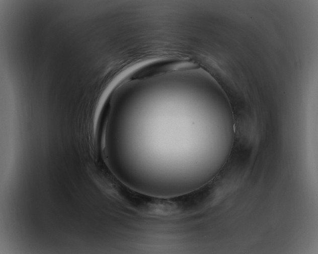 X0000088460215200705221349