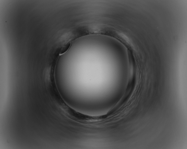 X0000088460217200705221349