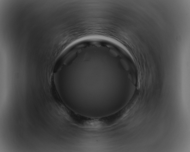 X0000088460219200705221349