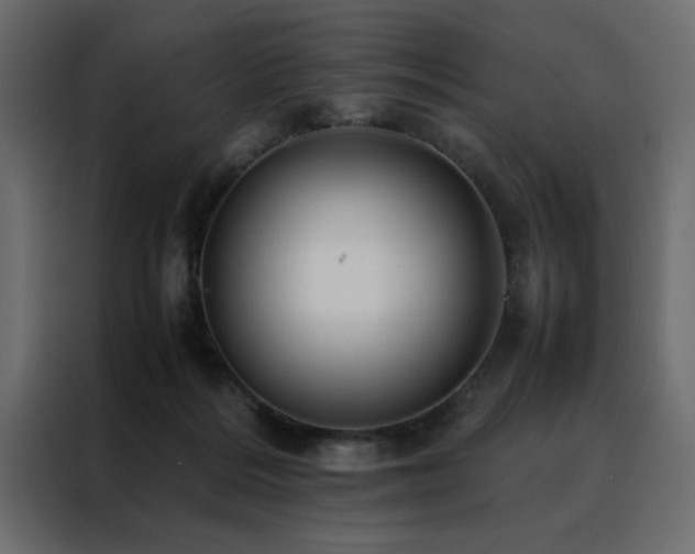 X0000088460220200705221349