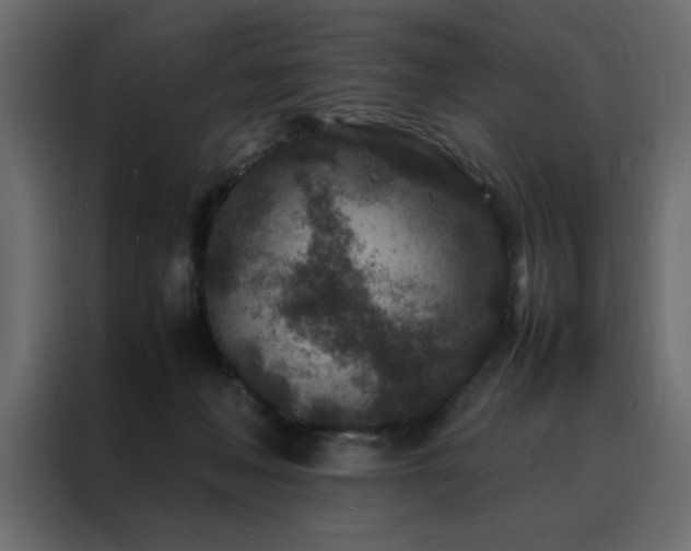 X0000088460222200705221349