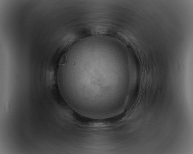 X0000088460224200705221349