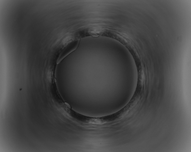 X0000088460227200705221349