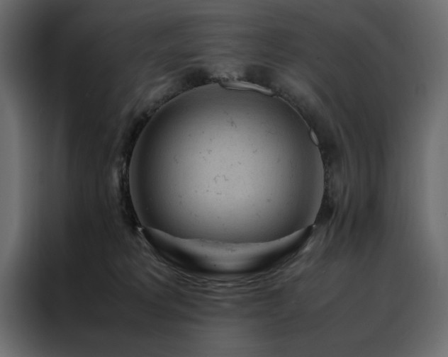 X0000088460229200705221349