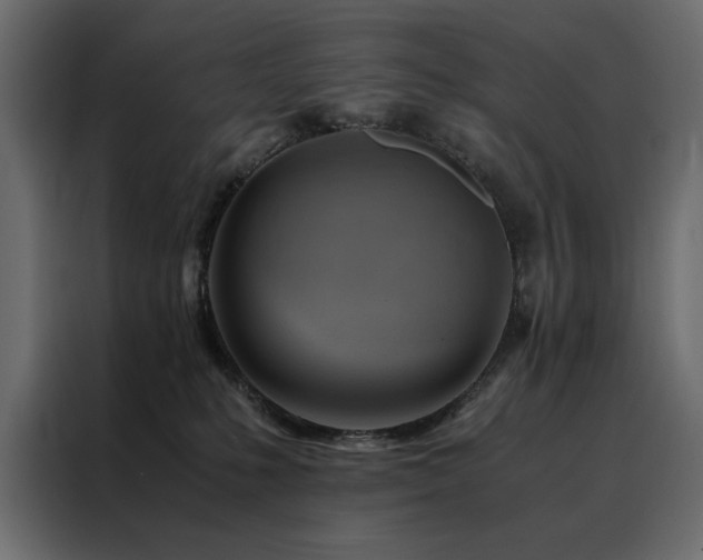 X0000088460231200705221349