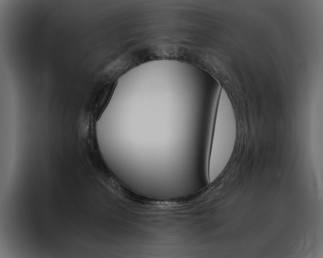 X0000088460233200705221349