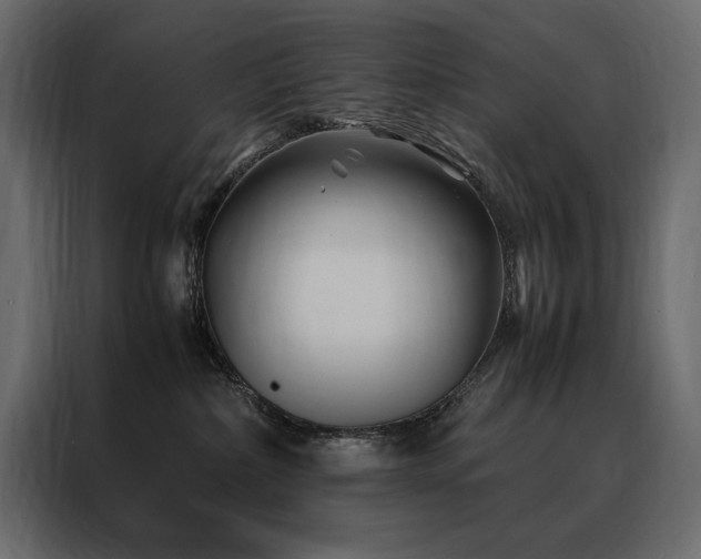 X0000088460236200705221349