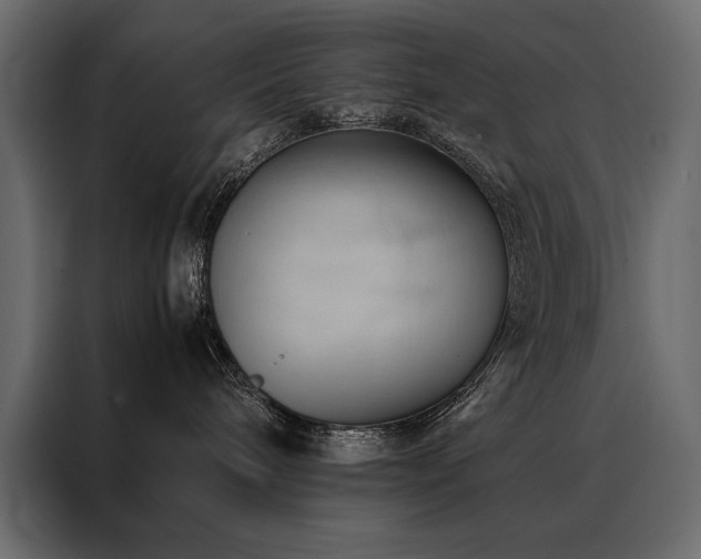 X0000088460240200705221349