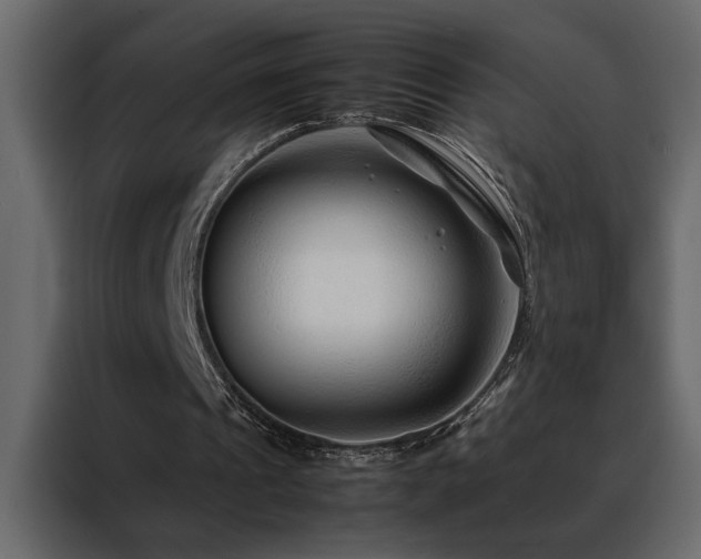 X0000088460241200705221348