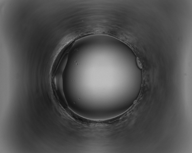 X0000088460242200705221348