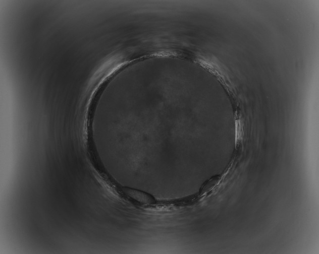 X0000088460243200705221348