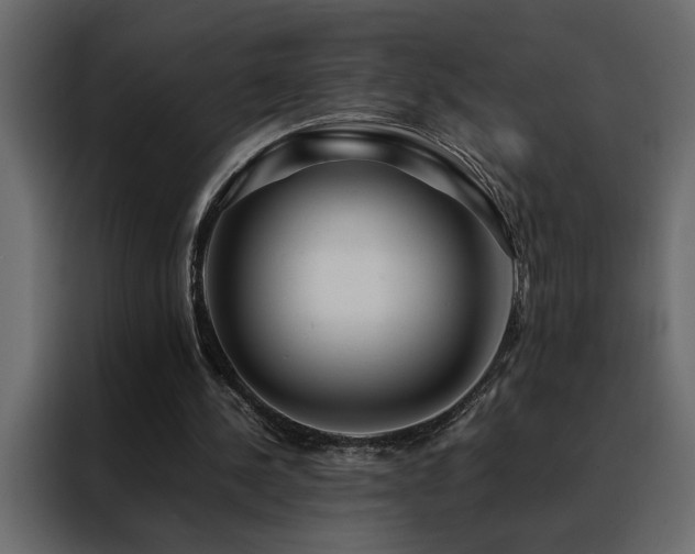 X0000088460244200705221348