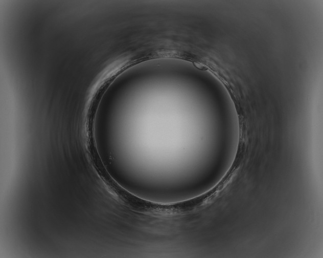 X0000088460245200705221348