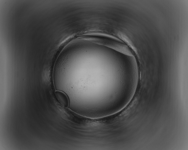 X0000088460249200705221348