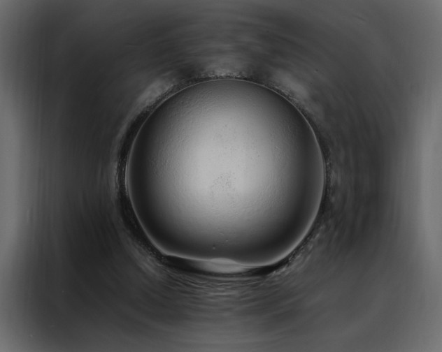 X0000088460250200705221348