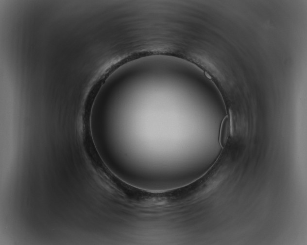 X0000088460252200705221348